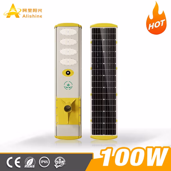 도매 가격 100W 150W 200W 250W 야외 제품 ABS 전원 전원 패널 투광 램프 모션 센서 거리 야외 정원 벽 LED 올인원 태양 광 가로등